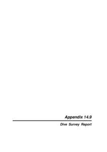 Appendix 14.9 Dive Survey Report Agreement No. CE[removed]CE) KAI TAK DEVELOPMENT ENGINEERING STUDY CUM DESIGN AND CONSTRUCTION OF ADVANCE WORKS –