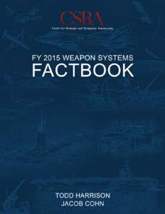 Microsoft Word - FINAL Weapon Systems Factbook .docx