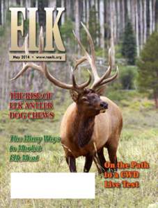 THE RISE OF ELK ANTLER DOG CHEWS The Many Ways to Market Elk Meat