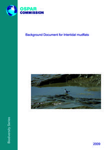 Microsoft Word - P00427_Intertidal_mudflats.doc