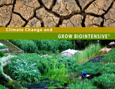 Climate Change and  GROW BIOINTENSIVE ® Perspectives
