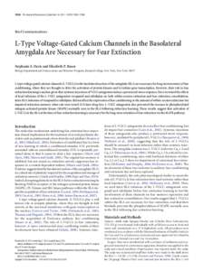 13582 • The Journal of Neuroscience, September 26, 2012 • 32(39):13582–[removed]Brief Communications L-Type Voltage-Gated Calcium Channels in the Basolateral Amygdala Are Necessary for Fear Extinction