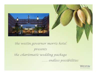the westin governor morris hotel presents the charismatic wedding package …… endless possibilities  with their first glimpse of you, your
