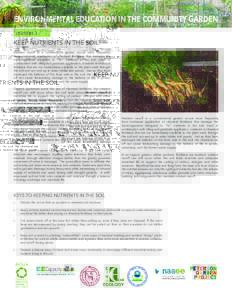 ENVIRONMENTAL EDUCATION IN THE COMMUNITY GARDEN LESSON 3 KEEP NUTRIENTS IN THE SOIL Nutrient runoff in a conventional garden occurs most frequently from continued application of chemical fertilizers that damage the