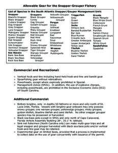 Allowable Gear for the Snapper-Grouper Fishery List of Species in the South Atlantic Snapper/Gouper Management Unit: Snapper Blackfin Snapper Black Snapper Cubera Snapper