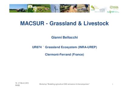 MACSUR - Grassland & Livestock Gianni Bellocchi UR874 – Grassland Ecosystem (INRA-UREP) Clermont-Ferrand (FranceMarch 2014