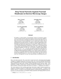 Cybernetics / Science / Statistics / Segmentation / Computational statistics / Computer vision / Artificial neural network / Neuron / Haar-like features / Computational neuroscience / Neural networks / Image processing