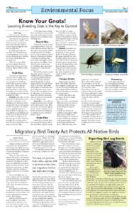Nematocera / Bird conservation / Fungus gnat / Phoridae / Bird migration / Bird / Gnat / Migratory Bird Treaty Act / Bald Eagle / Zoology / Ornithology / Phyla