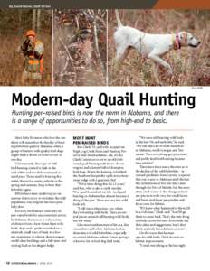 By David Rainer, Staff Writer  BILLY POPE Modern-day Quail Hunting Hunting pen-raised birds is now the norm in Alabama, and there
