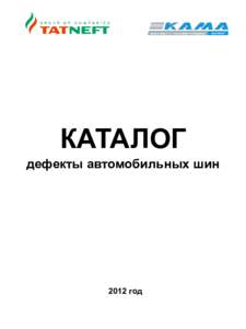 КАТАЛОГ  дефекты автомобильных шин 2012 год