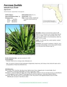 Furcraea / Organic chemistry / Triclopyr / Hemp / Hexazinone / Herbicides / Agriculture / Chemistry