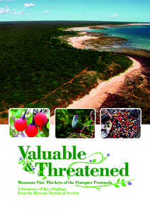 Monsoon Vine Thickets of the Dampier Peninsula A Summary of Key Findings from the Broome Botanical Society Introduction Australian rainforests are fragmented and have a limited