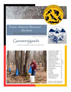 Treaty Natural Resource Division Red Cliff Band of Lake Superior Chippewa Volume 4, Issue 1 SpringGanawenjigaade