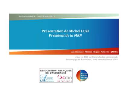 Rencontres ONRN – Jeudi 28 marsPrésentation de Michel LUZI Président de la MRN  Association « Mission Risques Naturels » (MRN)