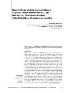 New findings of deep-sea nematodes of genus Benthimermis Petter, 1980 (Nematoda, Benthimermithidae)