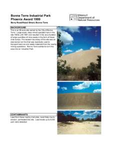Bonne Terre Industrial Park Phoenix Award 1999 Berry Road/Hazel Street, Bonne Terre BACKGROUND This is an 85-acre site owned by the City of Bonne Terre. Large-scale, deep mines operated here in the
