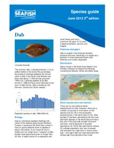 Common dab / Plaice / Limanda / Demersal fish / Sea Fish Industry Authority / Sole / Flatfish / Fish / Pleuronectidae / Pleuronectes
