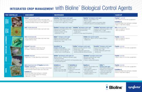 Integrated Crop Management  Thrips Aphids