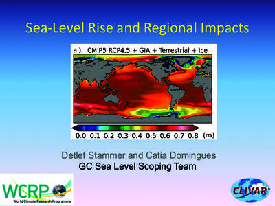 Sea-­‐Level	
  Rise	
  and	
  Regional	
  Impacts	
    Detlef Stammer and Catia Domingues GC Sea Level Scoping Team  !