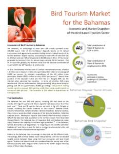 Birdwatching / The Bahamas / Bahama warbler / Bahama swallow / Bahama oriole / Inagua / Bahama yellowthroat / Bahamas National Trust / Abaco Islands / Bahamas Ministry of Tourism / Outline of the Bahamas