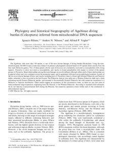 MOLECULAR PHYLOGENETICS AND