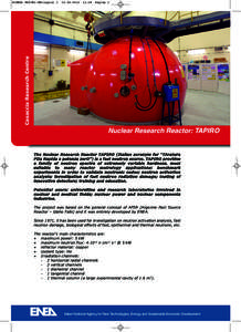 Nuclear technology / Neutron radiation / Radiation / Neutron / Boron neutron capture therapy / High Flux Isotope Reactor / Thermal-neutron reactor / Medicine / Physics / Nuclear physics