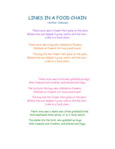 LINKS IN A FOOD CHAIN ~Author Unknown There once was a flower that grew on the plain. Where the sun helped it grow, and so did the rain-Links in a food chain. There once was a bug who nibbled on flowers, Nibbled on flowe