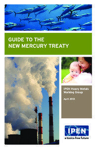 Guide to the New Mercury Treaty