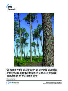 Genome-wide distribution of genetic diversity and linkage disequilibrium in a mass-selected population of maritime pine
