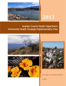 2013 Graham County Health Department Community Health Strategic/Implementation Plan Laura Rogers, Health Program Coordinator