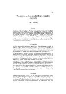 439  The genus Lachnagrostis (Gramineae) in