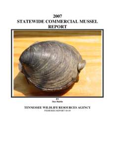 Bivalves / Gemstones / Pearls / Dreissenidae / Fauna of the United States / Cultured freshwater pearls / Zebra mussel / Mussel / Tennessee River / Phyla / Protostome / Taxonomy