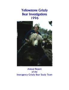 Bear 84, [removed], IGBST photo  Yellowstone Grizzly Bear Investigations 1996