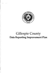 Gillespie County   Data Reporting Improvement Plan Gillespie County Data Reporting Improvement Plan