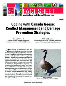 Coping with Canada Geese: Conflict Management and Damage Prevention Strategies