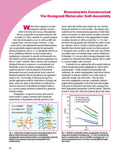 Biomaterials Constructed Via Designed Molecular Self-Assembly W  e have been engaged in an interdisciplinary materials research