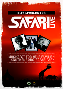 Safari Live baggrund grunge 3