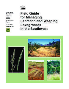Field Guide for Managing Lehmann and Weeping Lovegrasses in the Southwest