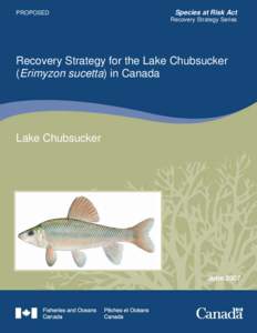 Endangered species / Drug rehabilitation / Mental health / Psychosocial rehabilitation / Recovery approach / Species at Risk Act / Biodiversity / Conservation biology / Recovery plan / Environment / Biology / Conservation