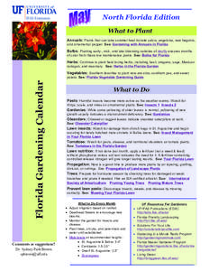 North Florida Edition What to Plant Annuals: Plants that can take summer heat include salvia, angelonia, wax begonia, and ornamental pepper. See: Gardening with Annuals in Florida  Bulbs: Planting early-, mid-, and late-
