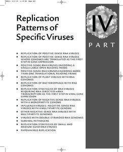 Virology / Viruses / RNA-dependent RNA polymerase / RNA virus / Poliovirus / VPg / Sense / Retrovirus / Baltimore classification / Biology / Molecular biology / RNA