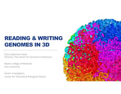 READING & WRITING GENOMES IN 3D Erez Lieberman Aiden Director, The Center for Genome Architecture Baylor College of Medicine Rice University