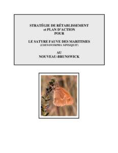 STRATÉGIE DE RÉTABLISSEMENT et PLAN D’ACTION POUR LE SATYRE FAUVE DES MARITIMES (COENONYMPHA NIPISIQUIT)