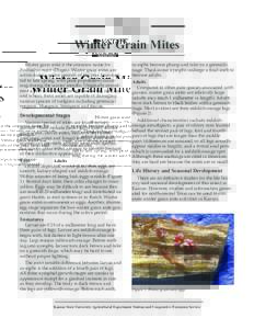 MF2073 Winter Grain Mites