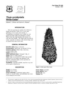 Fact Sheet ST-629 October 1994 Thuja occidentalis White-Cedar1 Edward F. Gilman and Dennis G. Watson2