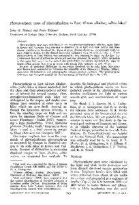 Photosynthetic  rates of phytoplankton