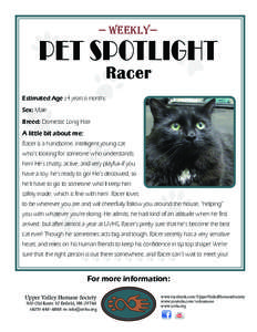— Weekly—  PET SPOTLIGHT Racer  Estimated Age : 4 years 6 months
