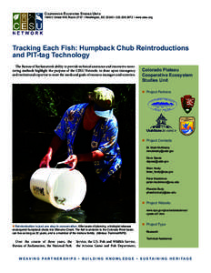 Cooperative Ecosystem Studies Units[removed]C Street NW, Room 2737 • Washington, DC 20240 • [removed] • www.cesu.org Tracking Each Fish: Humpback Chub Reintroductions and PIT-tag Technology