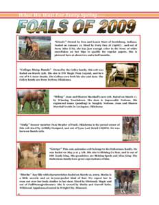 Appaloosa / American Quarter Horses / APHC / American Quarter Horse Association / Breeding / Appaloosa Horse Club / Moscow /  Idaho