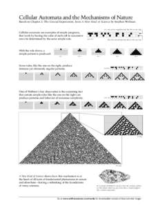 Cellular Automata and the Mechanisms of Nature Based on Chapter 2: The Crucial Experiment, from A New Kind of Science by Stephen Wolfram If a cell and its neighbors look like this at one step Cellular automata are exampl
